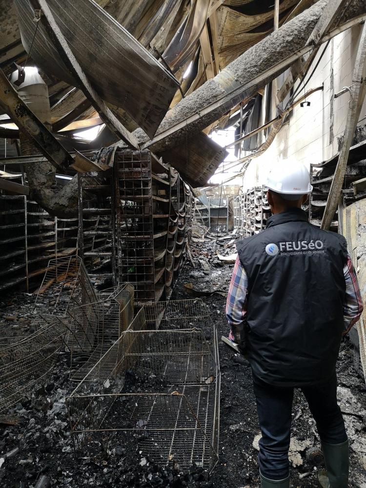 Réparation après incendie à Les Mesneux